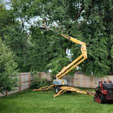 Best Sod Installation  in South El Monte, CA