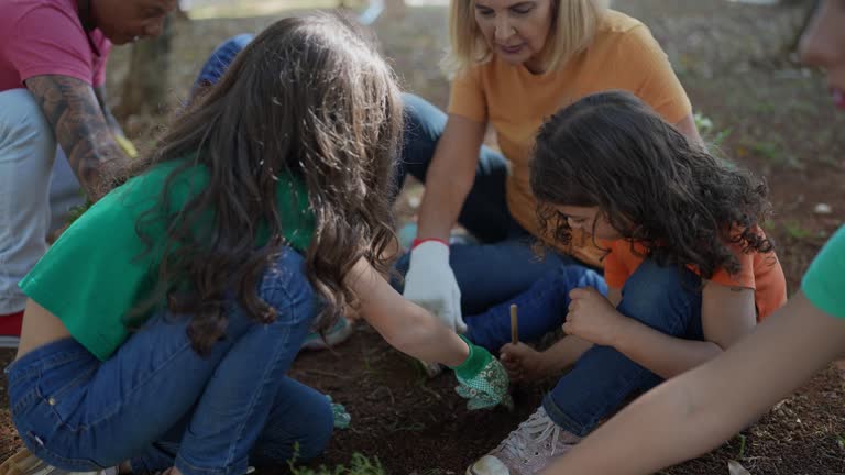 Best Lawn Renovation and Restoration  in South El Monte, CA